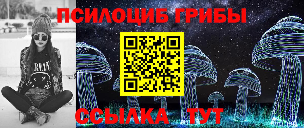 Псилоцибиновые грибы Magic Shrooms Ртищево